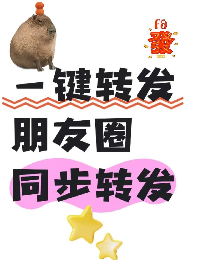 朋友圈一键转发工具推荐